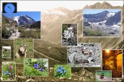 Premier n des parcs nationaux franais, cet endroit couvre environ un tiers du dpartement de la Savoie et constitue une des plus grandes rserves naturelles d'Europe.