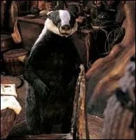 Quel est le nom de cet animal ?