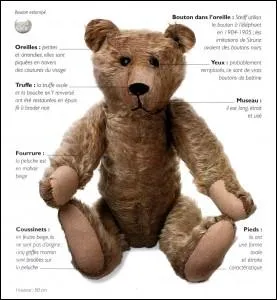 Voici le premier ours en peluche cr en 1902 par Margarete Steiff, quel nom lui avait-elle donn ?