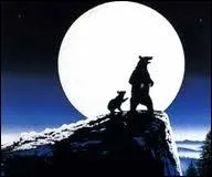 Quel est le titre de ce film de Jean-Jacques Annaud ?