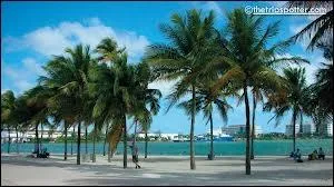 Dans quel tat se trouve la ville de Miami ?
