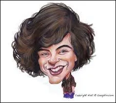 Il fait tomber les filles, membre des One Direction, il est ...