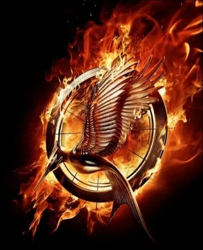 Comment se nomme-t-il ?