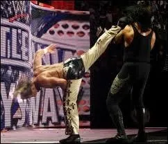 Qui a pour finisher le  Sweet Chin Music  ?