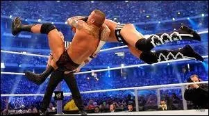 Qui a pour finisher le  RKO  ?