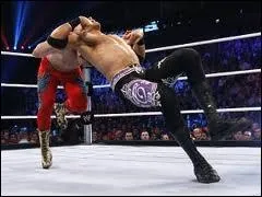 Qui a pour finisher le  Killswitch  ?