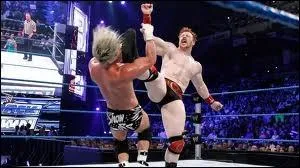 Qui a pour finisher le  Brock Kick  ?
