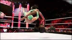 Qui a pour finisher le  World's Strongest Slam  ?