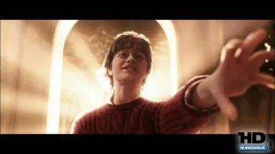 Quel personnage Harry va-t-il appeler  ce moment du film ?