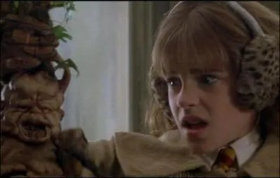 Pourquoi Hermione porte-t-elle un cache-oreilles ?