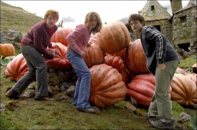Pourquoi Harry, Ron et Hermione regardent-ils derrire eux ?