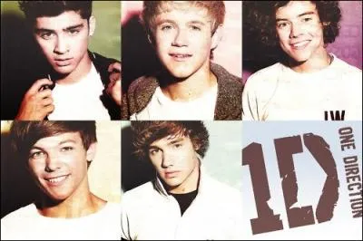 De quel chanteur Niall est-il fan ?