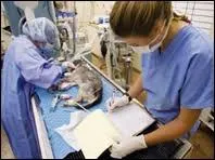 Quel mtier exercent ces personnes ?