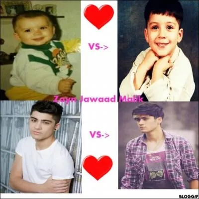 Qu'adore faire Zayn ?
