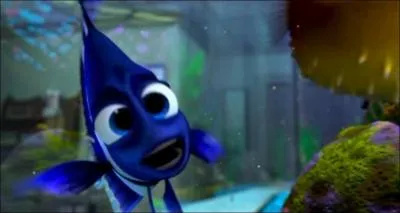 Comment s'appelle le reflet de ce poisson ? (Le monde de Nemo)