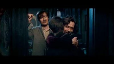 Pourquoi Harry ne veut-il pas que Sirius et Rmus tuent Peter Pettigrow ?