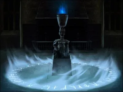 Qui met le nom de Harry dans la Coupe de Feu ?