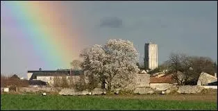 Voici une vue de la Tour Carre de Loudun . Quelle en est sa rgion ?
