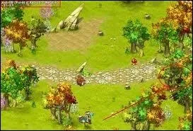 Y a-t-il des zones abonns dans Dofus ?