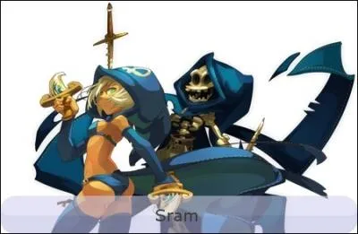 Comment s'appelle les piges que font les srams ?