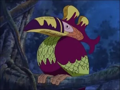 Quel oiseau regarde toujours vers le sud ?