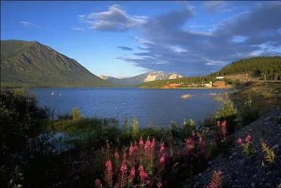 Qui a vendu l'Alaska aux Etats-Unis ?