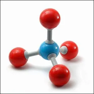 Quel animal possde un systme digestif produisant plus de mthane que tout autre tre vivant ?