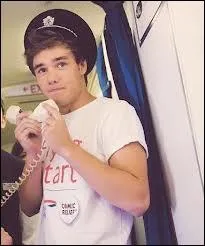 Quelle couleur Liam Payne aime-t-il ?