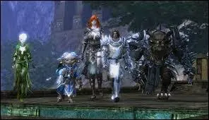 Quel type de classe n'est pas dans Guild Wars 2 ?
