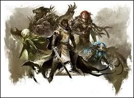 Quelle race existe dans Guild Wars 2 ?