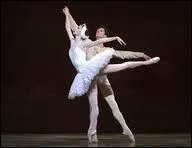 Comment s'appelle ce ballet de danse classique ?
