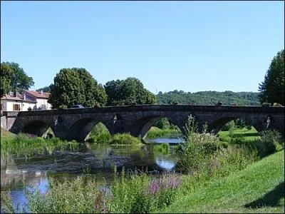 Dans quel dpartement est situe la ville de Mirecourt ?