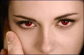 Que signifie cette image ?