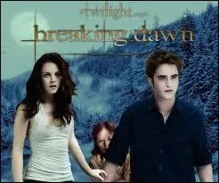 Que signifie cette image ?