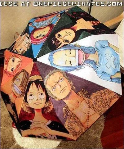 Il pleut... il mouille... Qu'est-ce qui peut servir  nous abriter de la pluie ?