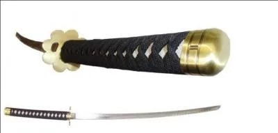 Je me suis dit que jouer  Fruit Ninja en vrai serait bien. Donc j'ai achet cette arme (celle de Zorro), mais quel est son nom ?