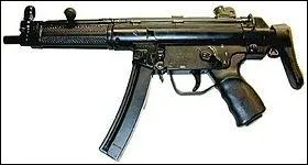 Quel est le nom de cette arme ?