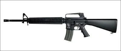 Quel est le nom de cette arme ?