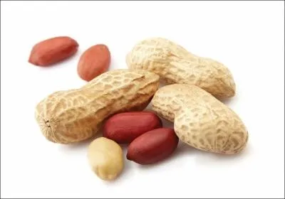 Comment se traduit une  cacahute  en anglais ?