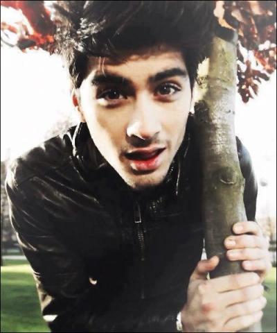 O se trouve Zayn quand il commence  chanter ?