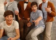 Quiz Y a-t-il des Directioners dans la salle ?