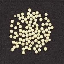 Mais qu'est-ce que c'est ?