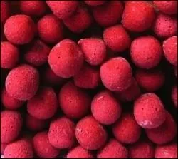 Mais qu'est-ce que c'est ?