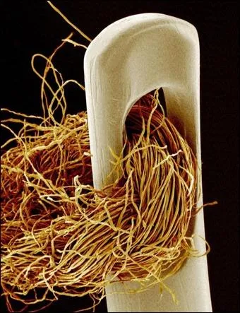 Mais qu'est-ce que c'est ?