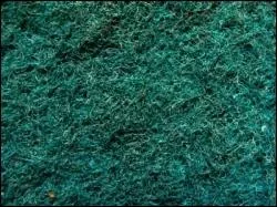 Mais qu'est-ce que c'est ?