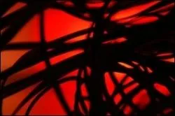 Mais qu'est-ce que c'est ?