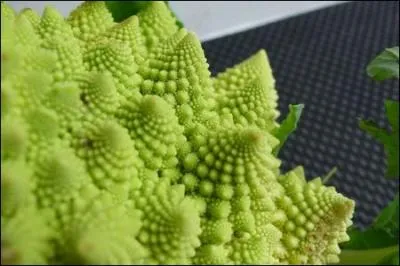 Mais qu'est-ce que c'est ?