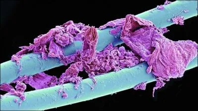 Mais qu'est-ce que c'est ?