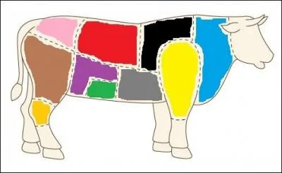 Quelle couleur reprsente l'onglet et la bavette ?