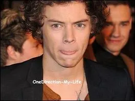 Quel est le vrai prnom de Harry Styles ?